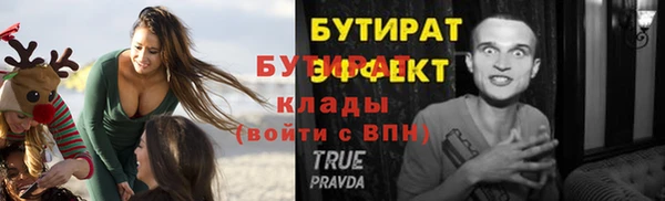 индика Сатка