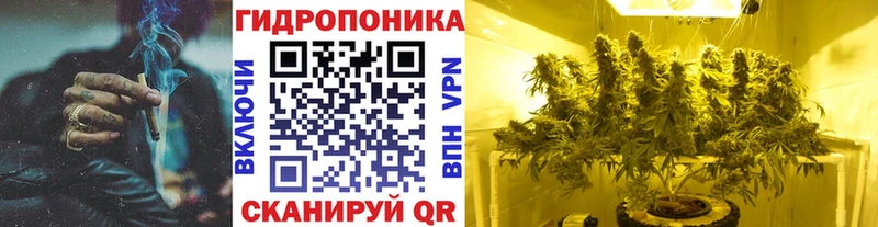 Конопля индика  Бокситогорск 
